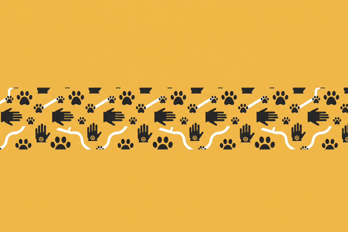 YOMI PET pet hair cleaning glove collection